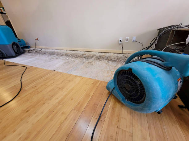 Professional Basement Flood Cleanup technician working in La Honda, CA